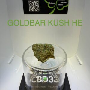 CBD Culture Intérieure - GOLDBAR KUSH - HE