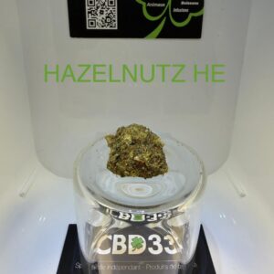 CBD Culture Intérieure - HAZELNUTZ HE
