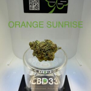 CBD Culture en Serre - ORANGE SUNRISE