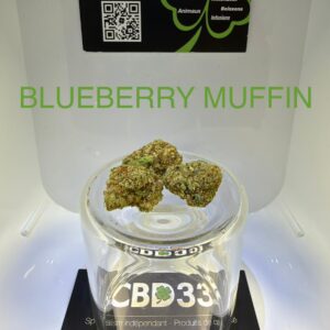 CBD Culture en Serre - BLUEBERRY MUFFIN - 18% CBD