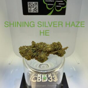 CBD Culture Intérieure - SHINING SILVER HAZE - HE