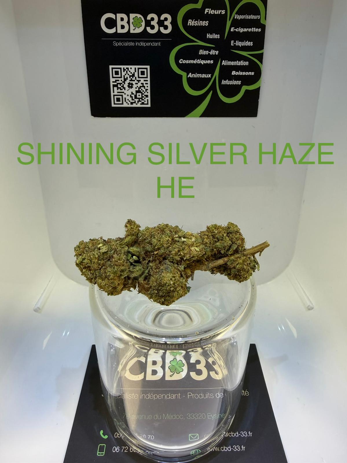 CBD Culture Intérieure - SHINING SILVER HAZE - HE